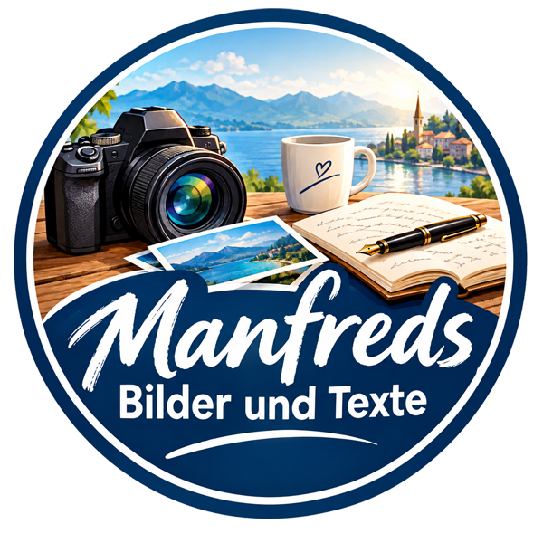 Website-Icon